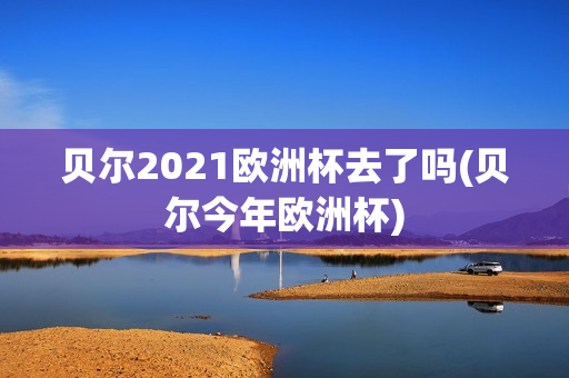 贝尔2021欧洲杯去了吗(贝尔今年欧洲杯)