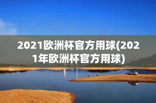 2021欧洲杯官方用球(2021年欧洲杯官方用球)