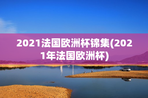 2021法国欧洲杯锦集(2021年法国欧洲杯)