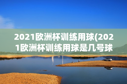 2021欧洲杯训练用球(2021欧洲杯训练用球是几号球)