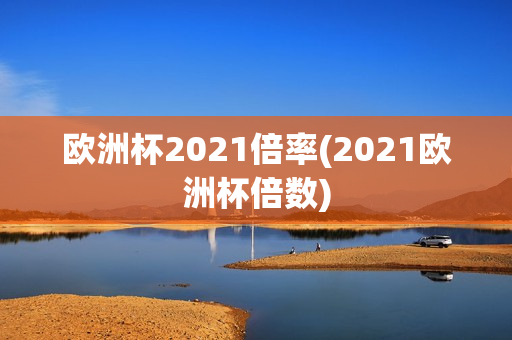 欧洲杯2021倍率(2021欧洲杯倍数)