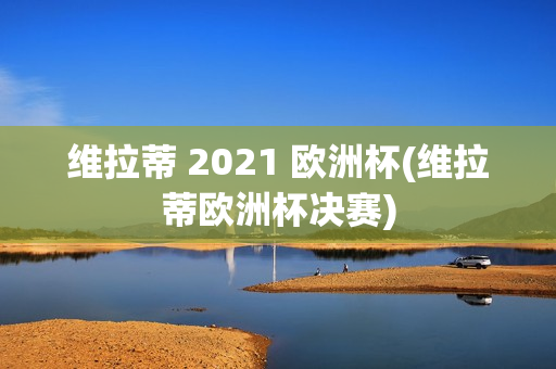 维拉蒂 2021 欧洲杯(维拉蒂欧洲杯决赛)