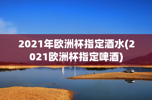 2021年欧洲杯指定酒水(2021欧洲杯指定啤酒)