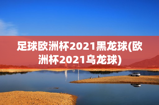 足球欧洲杯2021黑龙球(欧洲杯2021乌龙球)