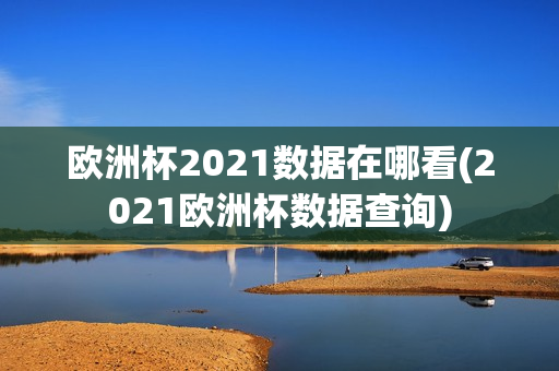 欧洲杯2021数据在哪看(2021欧洲杯数据查询)