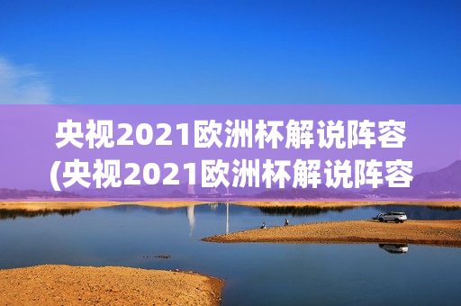 央视2021欧洲杯解说阵容(央视2021欧洲杯解说阵容表)