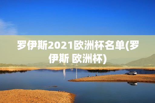 罗伊斯2021欧洲杯名单(罗伊斯 欧洲杯)