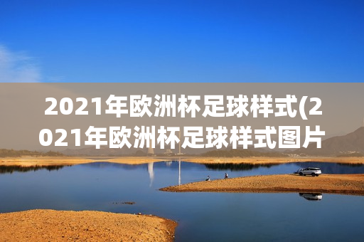 2021年欧洲杯足球样式(2021年欧洲杯足球样式图片)