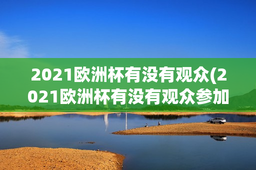 2021欧洲杯有没有观众(2021欧洲杯有没有观众参加)