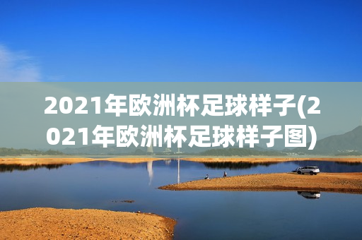 2021年欧洲杯足球样子(2021年欧洲杯足球样子图)