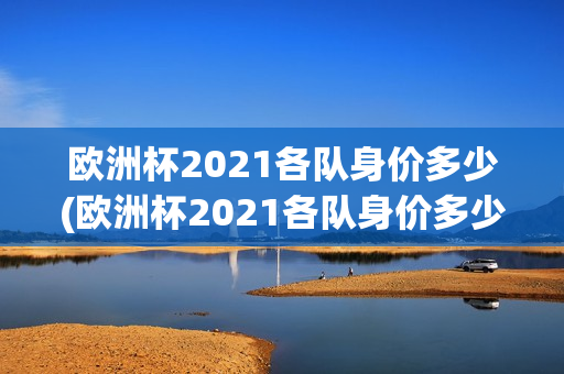 欧洲杯2021各队身价多少(欧洲杯2021各队身价多少)