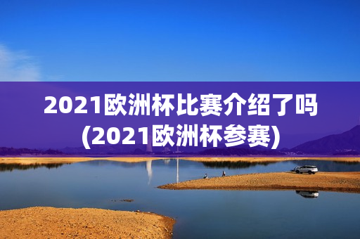 2021欧洲杯比赛介绍了吗(2021欧洲杯参赛)