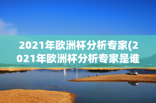 2021年欧洲杯分析专家(2021年欧洲杯分析专家是谁)