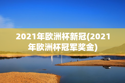 2021年欧洲杯新冠(2021年欧洲杯冠军奖金)