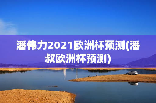 潘伟力2021欧洲杯预测(潘叔欧洲杯预测)