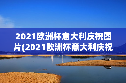 2021欧洲杯意大利庆祝图片(2021欧洲杯意大利庆祝图片高清)