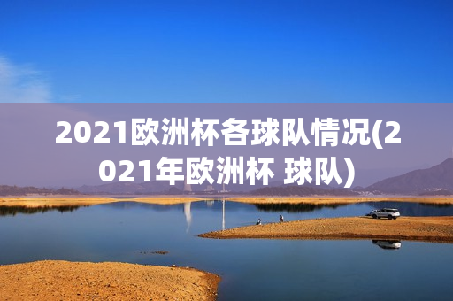 2021欧洲杯各球队情况(2021年欧洲杯 球队)