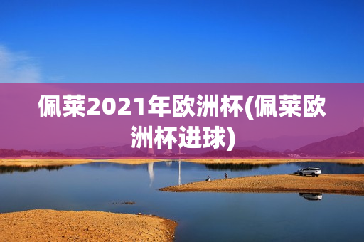 佩莱2021年欧洲杯(佩莱欧洲杯进球)