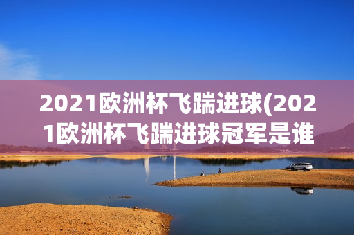 2021欧洲杯飞踹进球(2021欧洲杯飞踹进球冠军是谁)