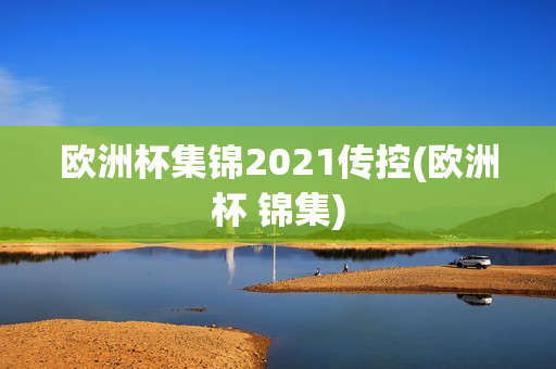 欧洲杯集锦2021传控(欧洲杯 锦集)