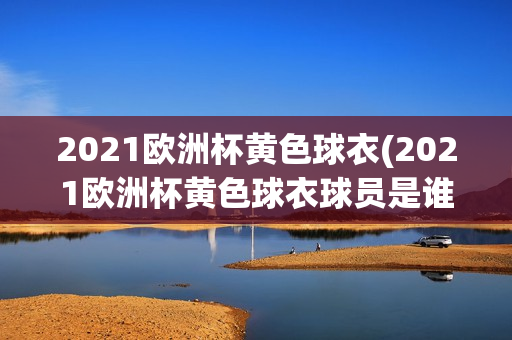 2021欧洲杯黄色球衣(2021欧洲杯黄色球衣球员是谁)