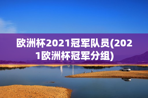 欧洲杯2021冠军队员(2021欧洲杯冠军分组)