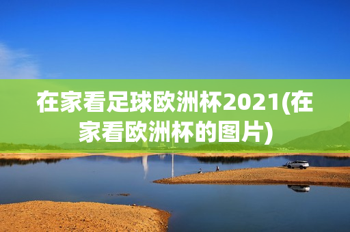 在家看足球欧洲杯2021(在家看欧洲杯的图片)