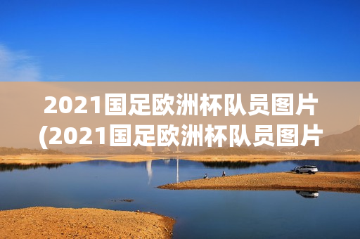 2021国足欧洲杯队员图片(2021国足欧洲杯队员图片大全)