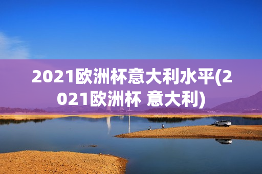 2021欧洲杯意大利水平(2021欧洲杯 意大利)