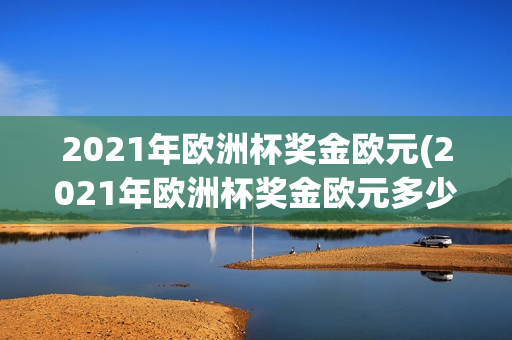 2021年欧洲杯奖金欧元(2021年欧洲杯奖金欧元多少)