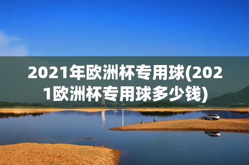 2021年欧洲杯专用球(2021欧洲杯专用球多少钱)