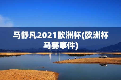 马舒凡2021欧洲杯(欧洲杯马赛事件)