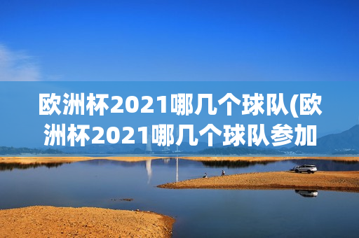 欧洲杯2021哪几个球队(欧洲杯2021哪几个球队参加)