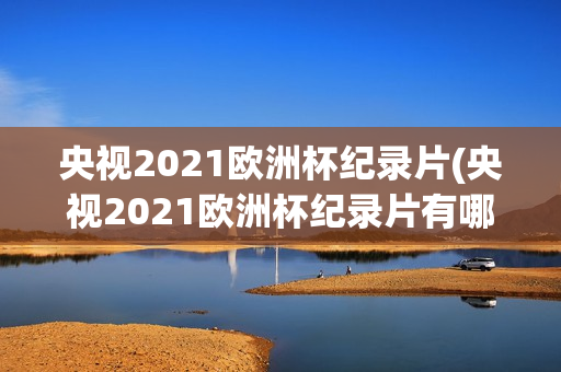 央视2021欧洲杯纪录片(央视2021欧洲杯纪录片有哪些)