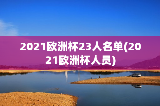 2021欧洲杯23人名单(2021欧洲杯人员)