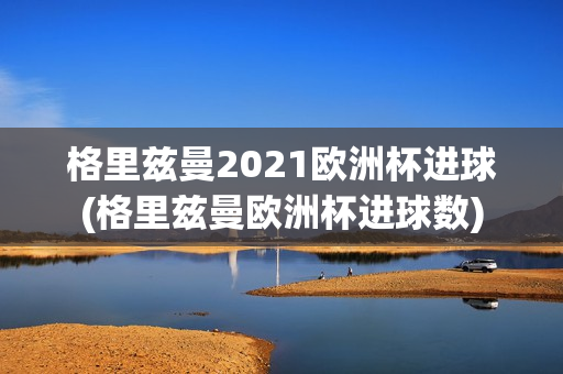 格里兹曼2021欧洲杯进球(格里兹曼欧洲杯进球数)