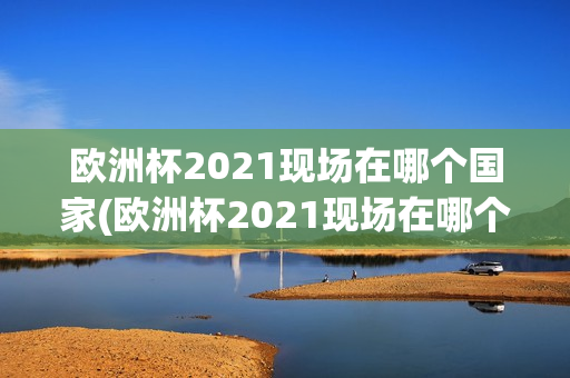 欧洲杯2021现场在哪个国家(欧洲杯2021现场在哪个国家举行)