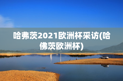 哈弗茨2021欧洲杯采访(哈佛茨欧洲杯)