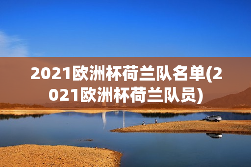 2021欧洲杯荷兰队名单(2021欧洲杯荷兰队员)