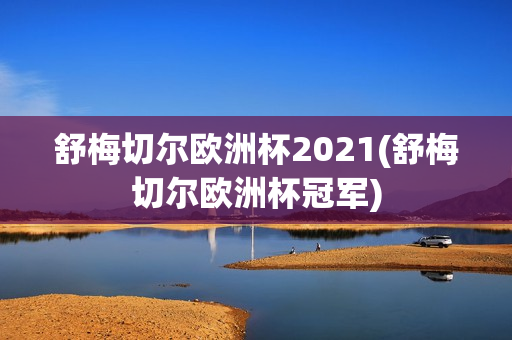 舒梅切尔欧洲杯2021(舒梅切尔欧洲杯冠军)