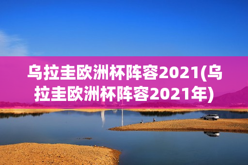 乌拉圭欧洲杯阵容2021(乌拉圭欧洲杯阵容2021年)