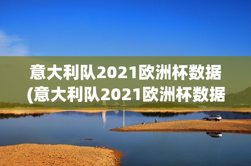 意大利队2021欧洲杯数据(意大利队2021欧洲杯数据统计)