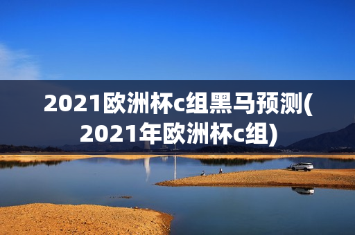 2021欧洲杯c组黑马预测(2021年欧洲杯c组)