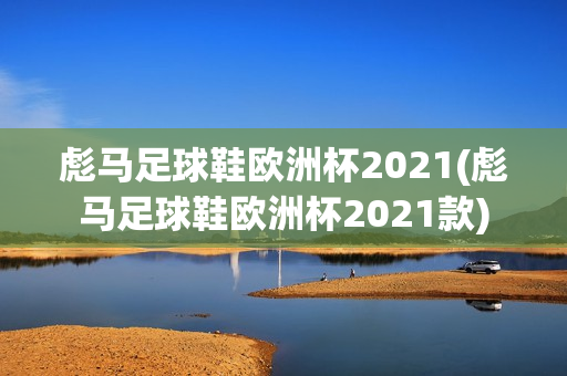 彪马足球鞋欧洲杯2021(彪马足球鞋欧洲杯2021款)