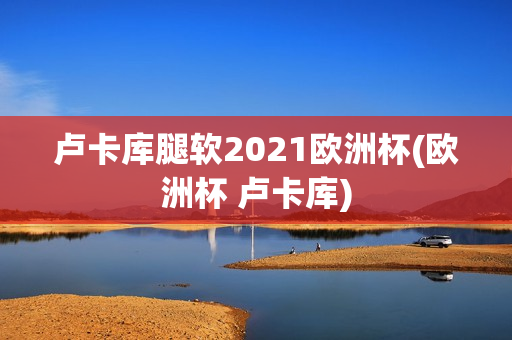 卢卡库腿软2021欧洲杯(欧洲杯 卢卡库)