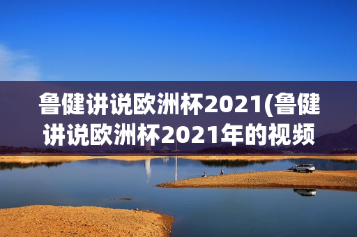 鲁健讲说欧洲杯2021(鲁健讲说欧洲杯2021年的视频)