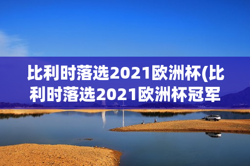 比利时落选2021欧洲杯(比利时落选2021欧洲杯冠军)