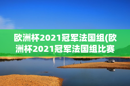 欧洲杯2021冠军法国组(欧洲杯2021冠军法国组比赛结果)