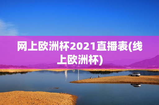 网上欧洲杯2021直播表(线上欧洲杯)