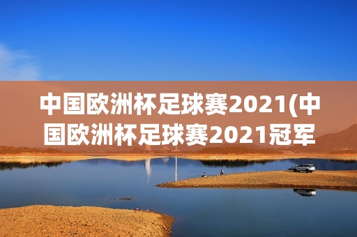 中国欧洲杯足球赛2021(中国欧洲杯足球赛2021冠军)